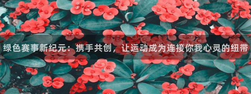 绿色赛事新纪元：携手共创，让运动成为连接你我心灵的纽带