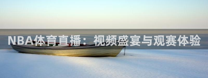 NBA体育直播：视频盛宴与观赛体验