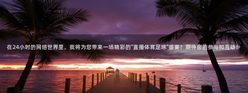在24小时的网络世界里，我将为您带来一场精彩的\