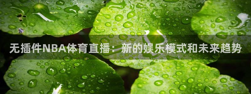 无插件NBA体育直播：新的娱乐模式和未来趋势