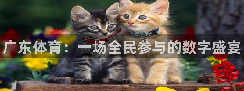 广东体育：一场全民参与的数字盛宴