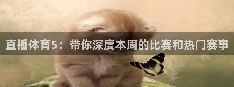 直播体育5：带你深度本周的比赛和热门赛事